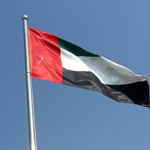 exhibition flag for rental